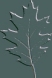 Nytteplanter
